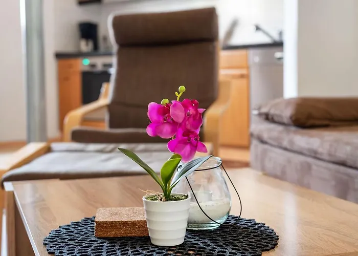 With Fenced Garden In * Faid